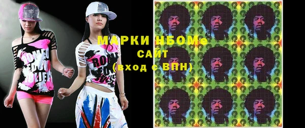 шишки Аркадак