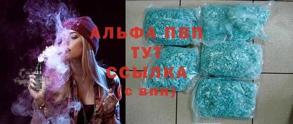 шишки Аркадак