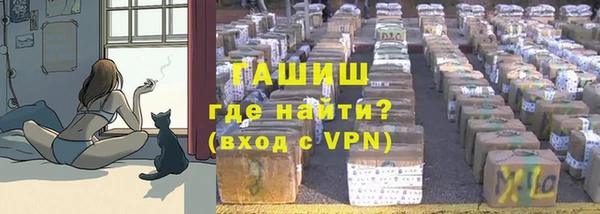шишки Аркадак